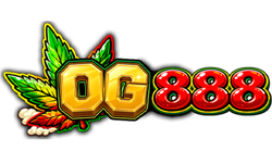 og888 เว็บพนันที่ตอบโจทย์ทุกจังหวะการเล่นอย่างมีสไตล์